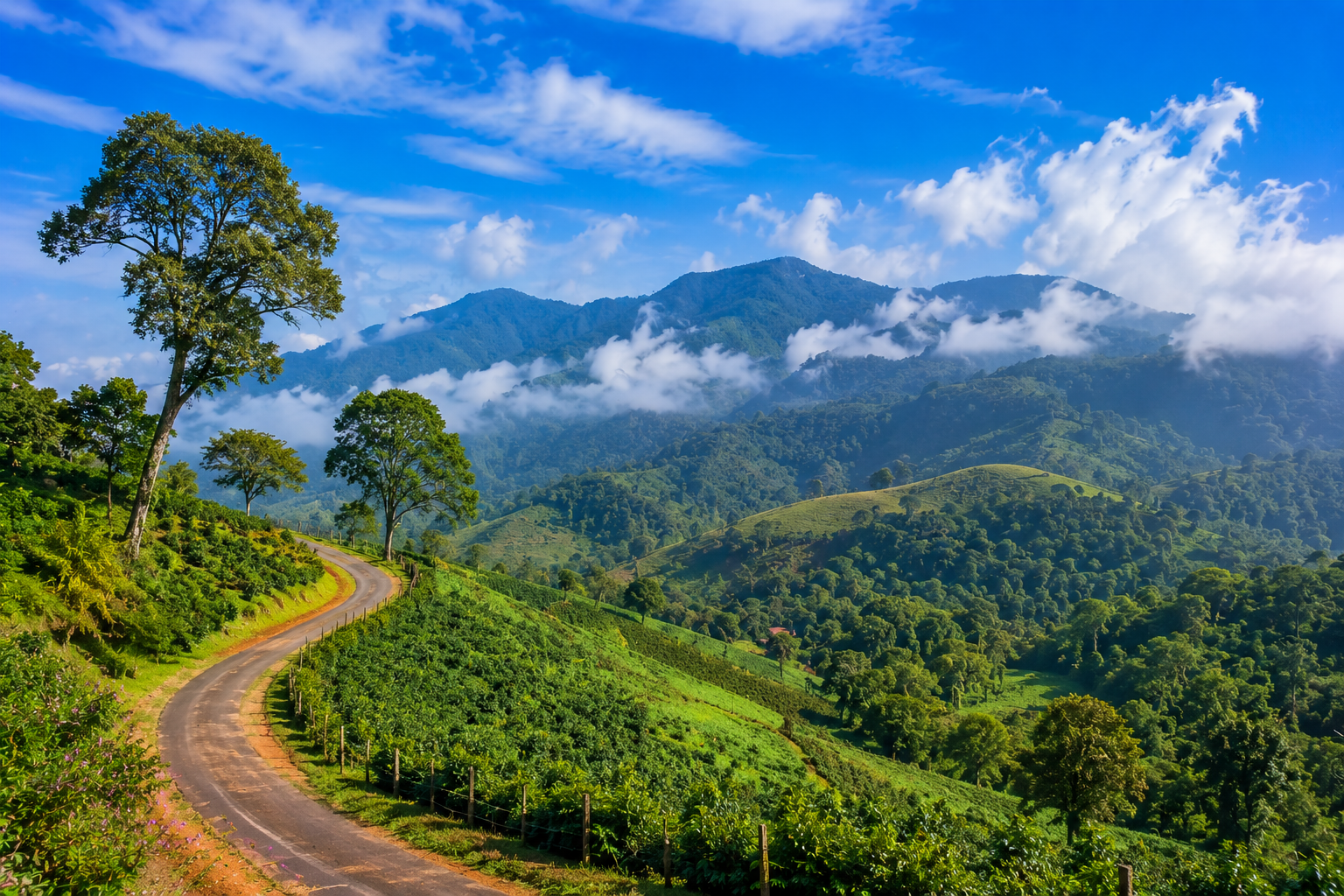 Sakleshpur